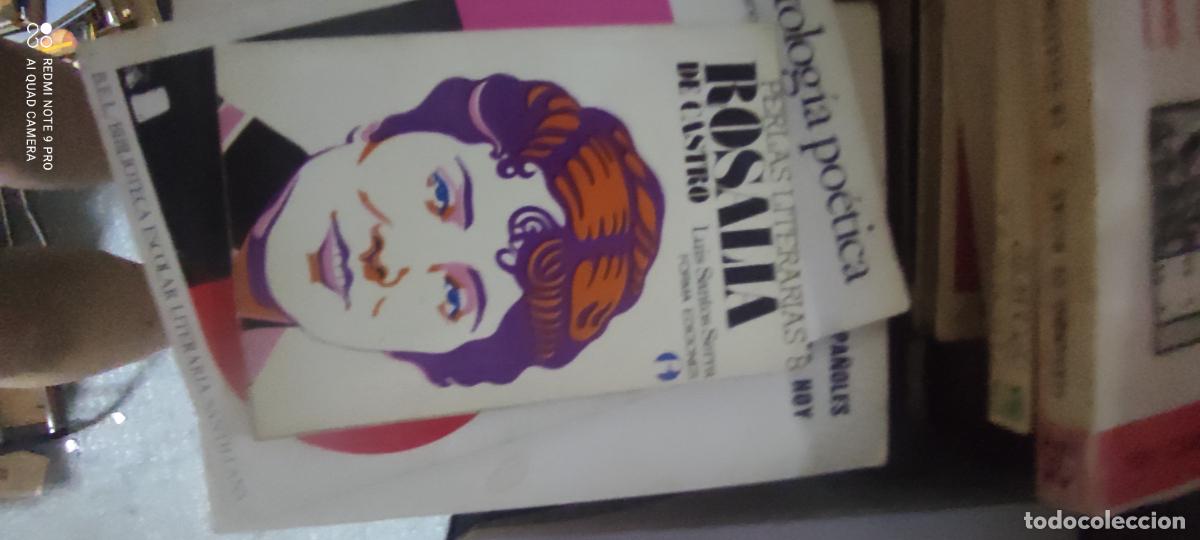 Libros de segunda mano: Rosal&iacute;a de Castro...