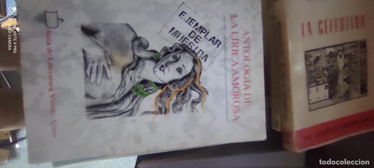 Libros de segunda mano: Antolog&iacute;a de la l&iacute;rica amorosa