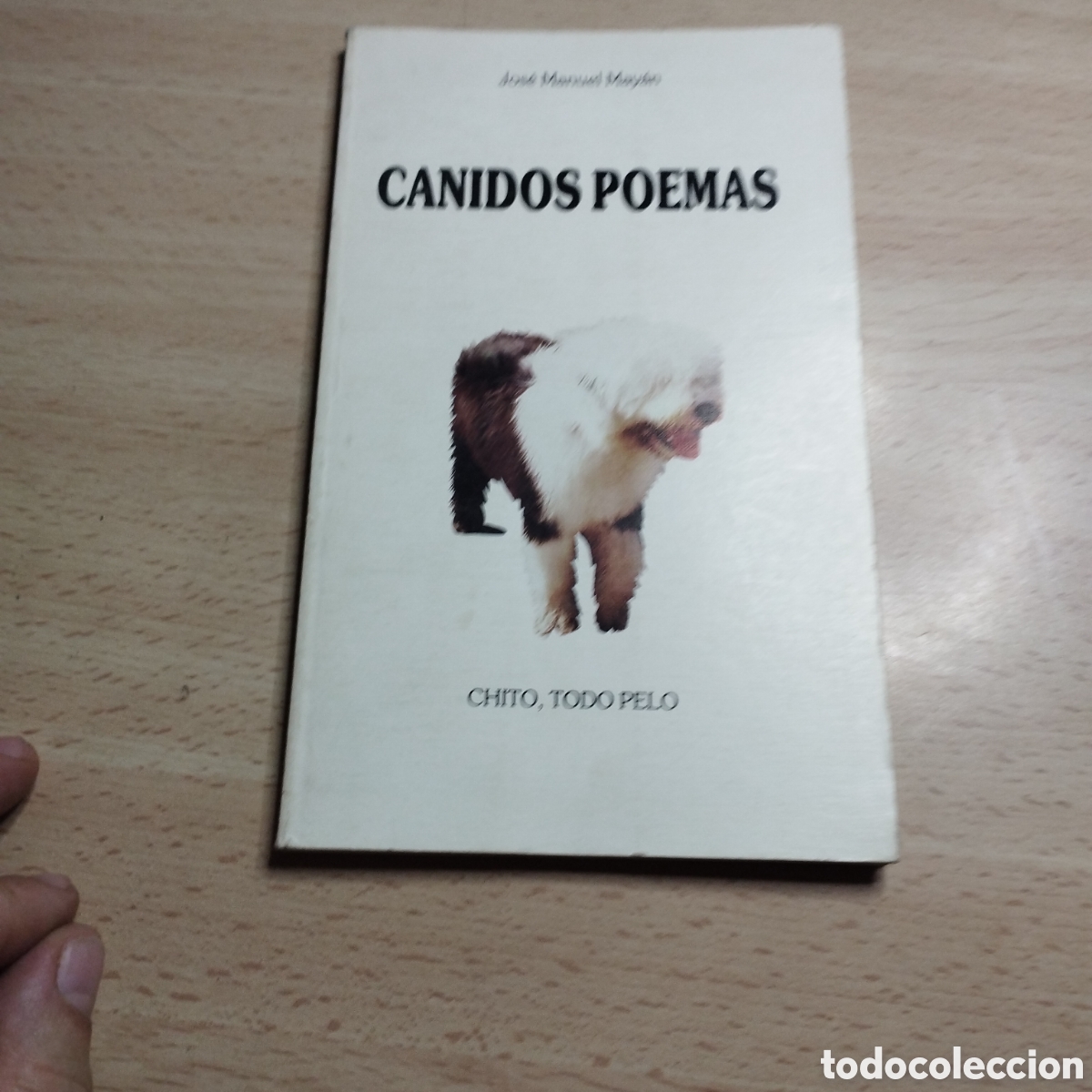 Libros de segunda mano: C&aacute;nidos poemas ( Chito). Jos&eacute; Manuel May&aacute;n. 1987. SIERRA