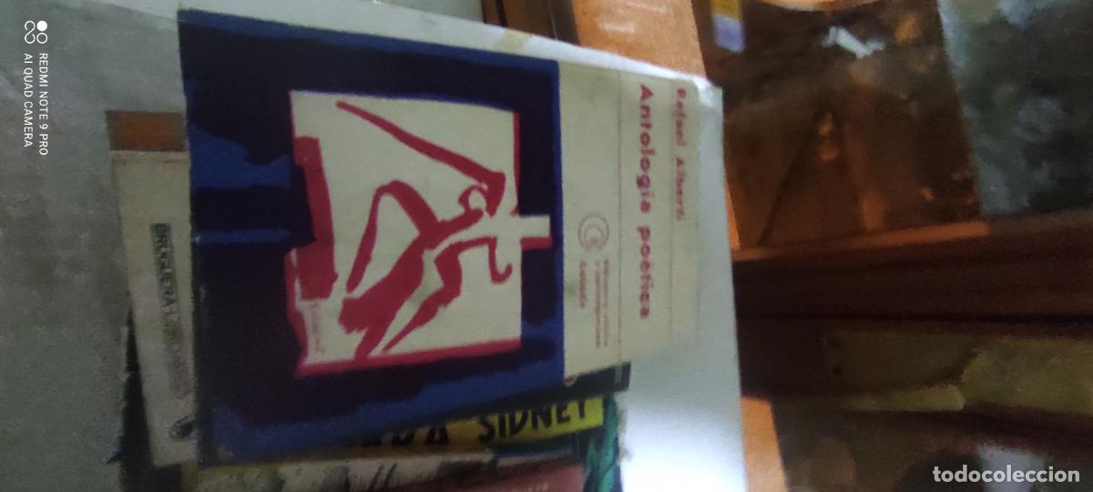 Libros de segunda mano: Alberti. Antolog&iacute;a po&eacute;tica