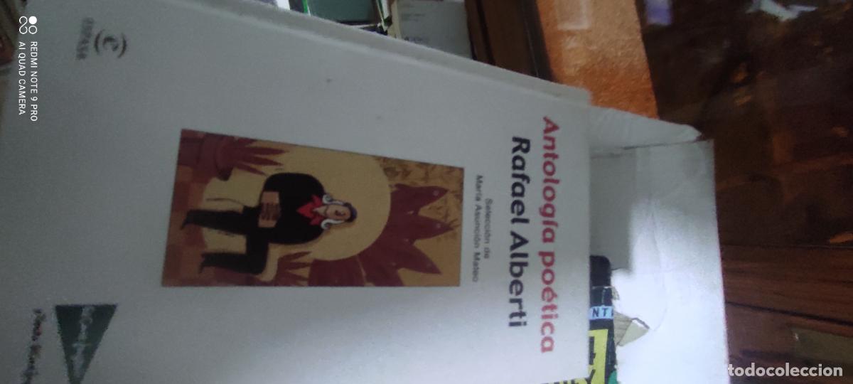 Libros de segunda mano: Antolog&iacute;a po&eacute;tica Alberti