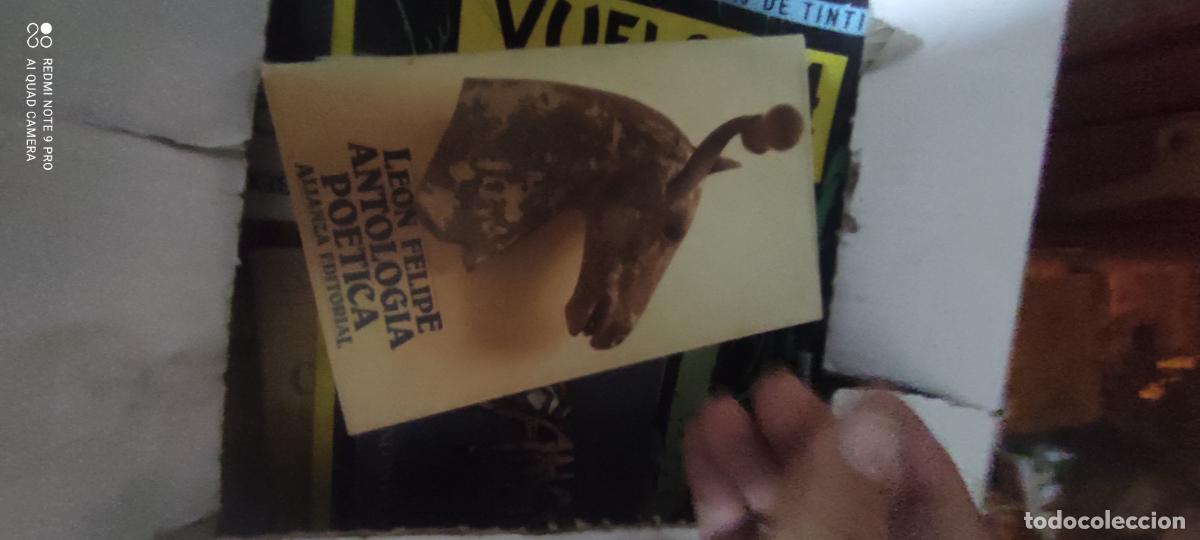 Libros de segunda mano: Antolog&iacute;a po&eacute;tica Le&oacute;n Felipe