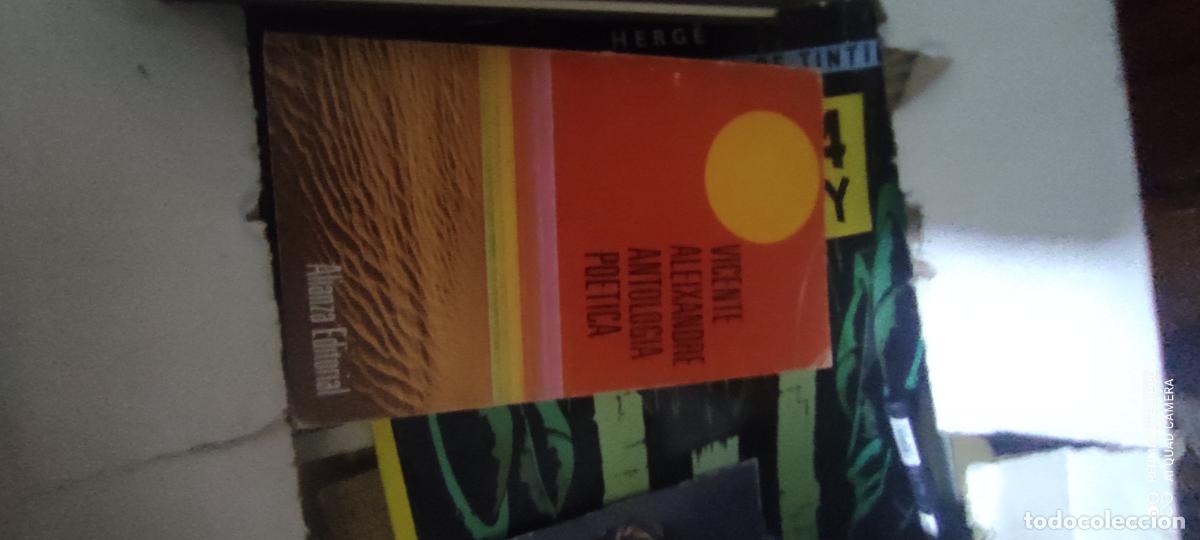 Libros de segunda mano: Antolog&iacute;a de Vicente Aleixandre