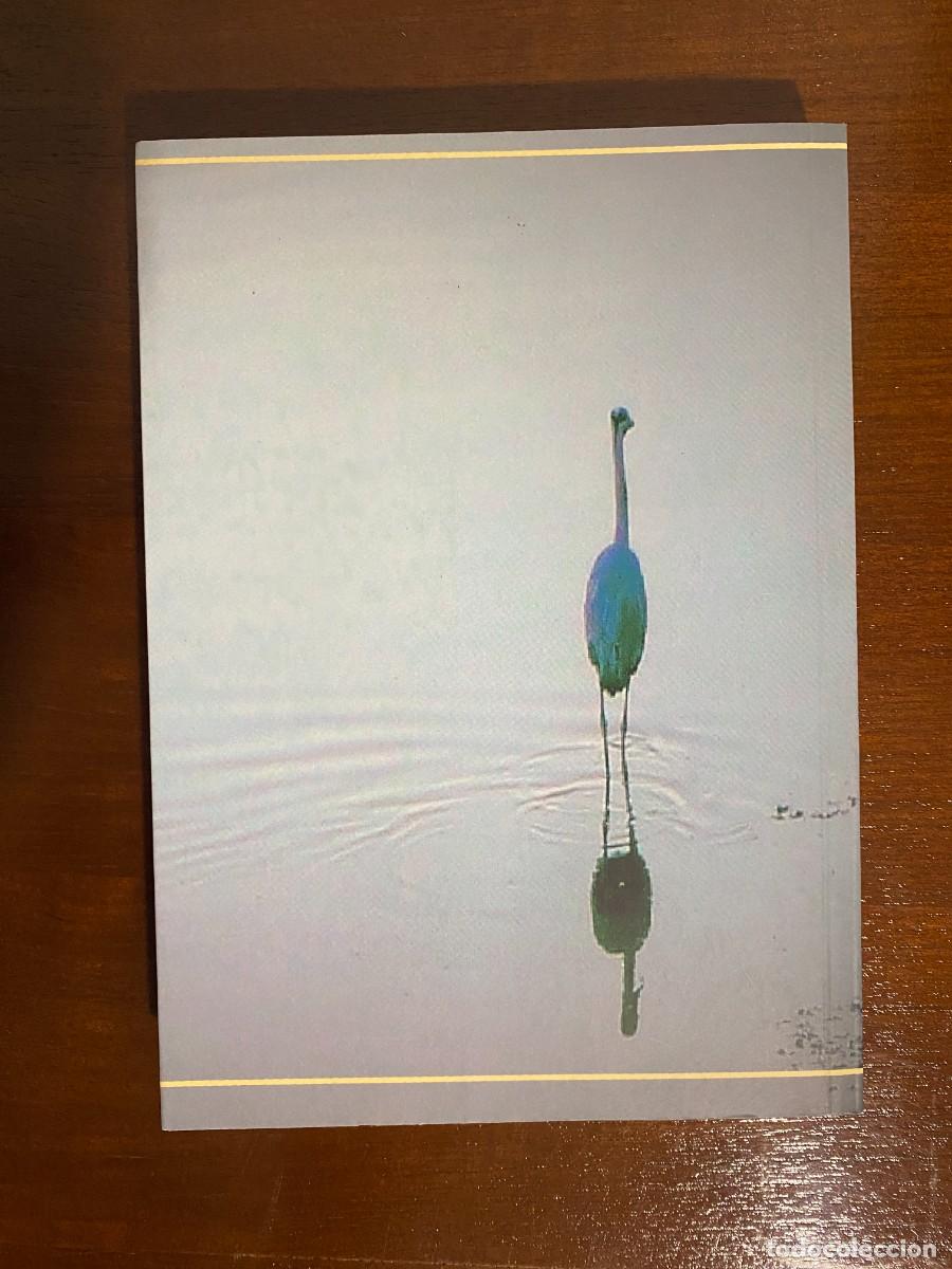 Libros de segunda mano: AA. V., Versos y m&aacute;s versos, La Imprenta - Foto 2