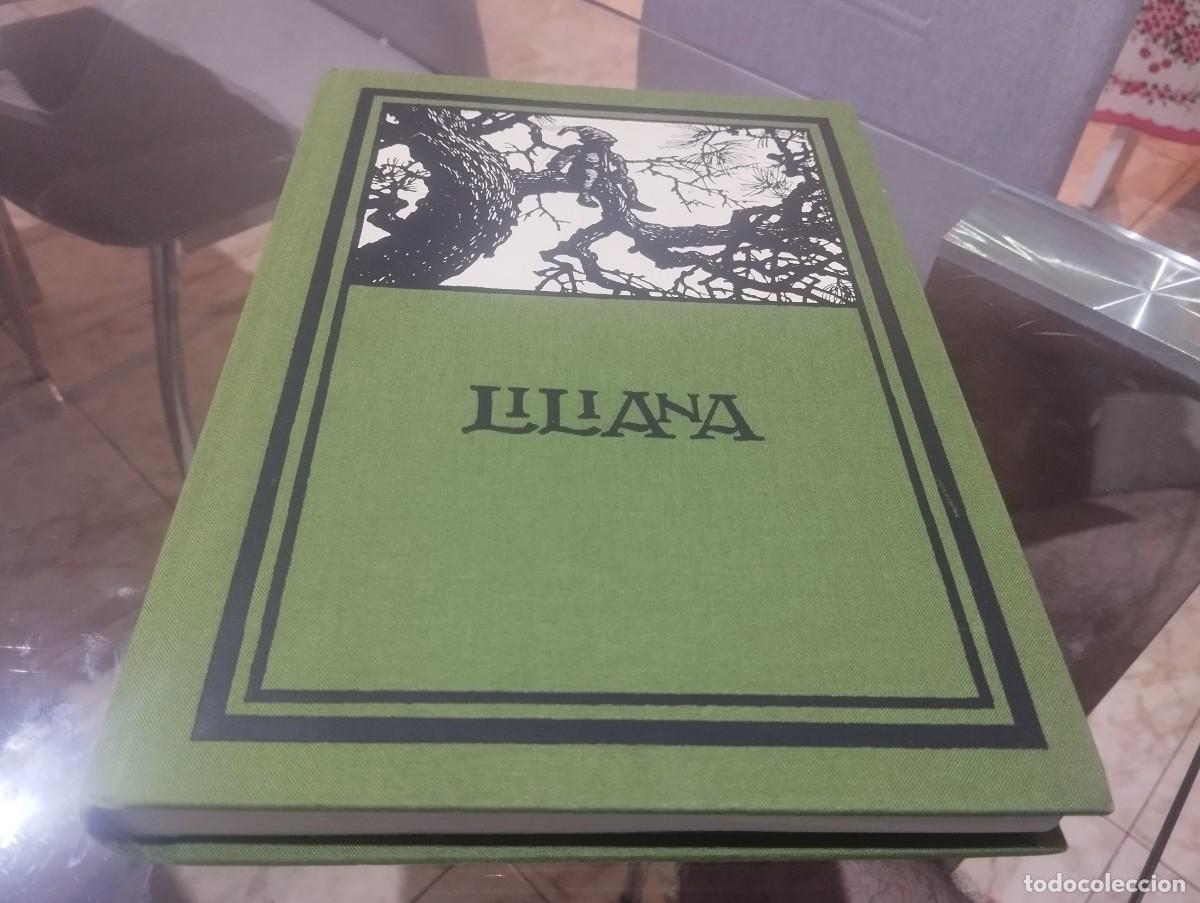 Libros de segunda mano: FACSIMIL APELES MESTRES / POEMA LILIANA 1989 (TIRADA 1322 DE 1500 EJEMPLARES) EDIT. AUSA