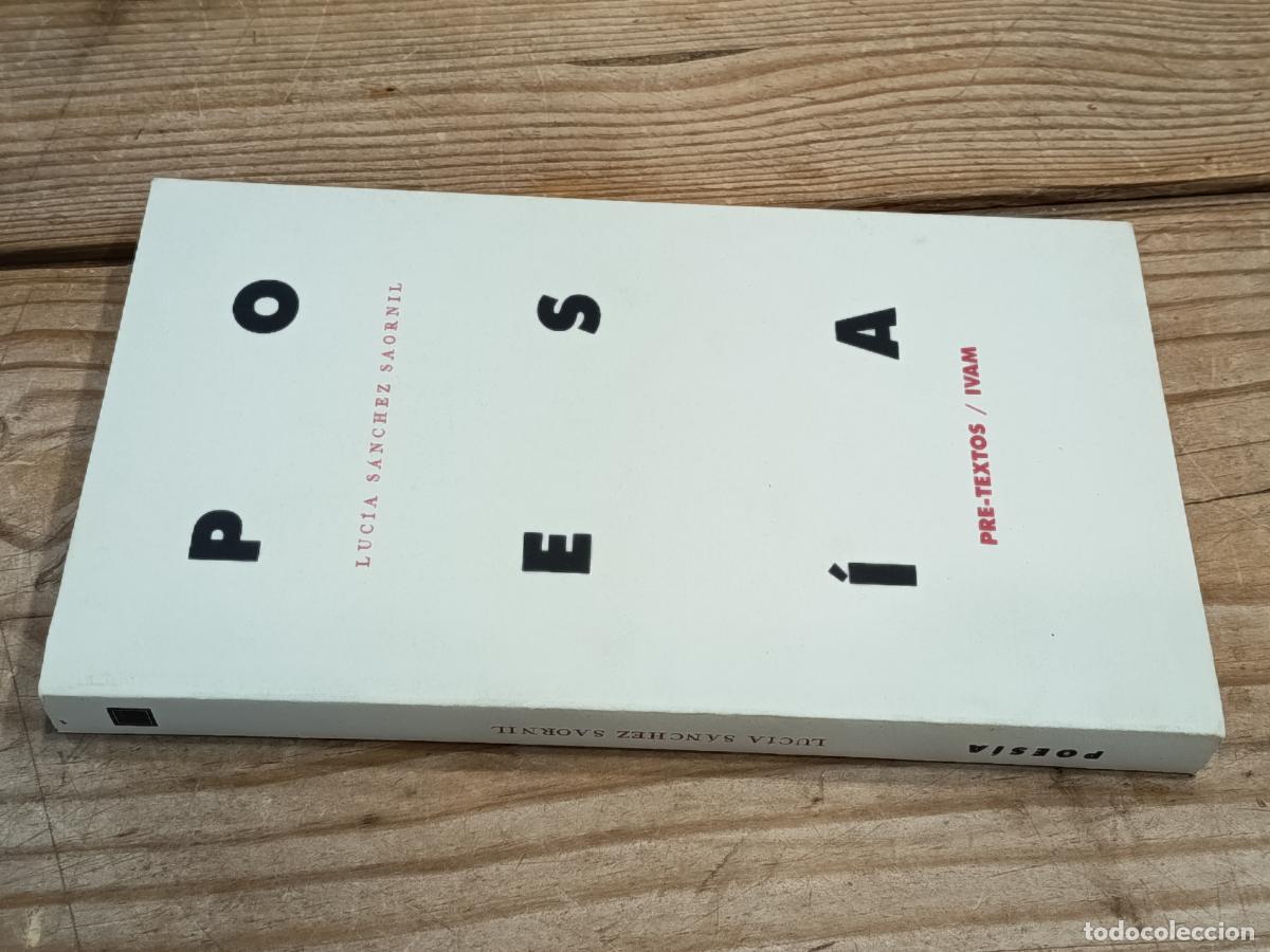 Libros de segunda mano: 1996 - LUC&Iacute;A S&Aacute;NCHEZ SAORNIL. Poes&iacute;a