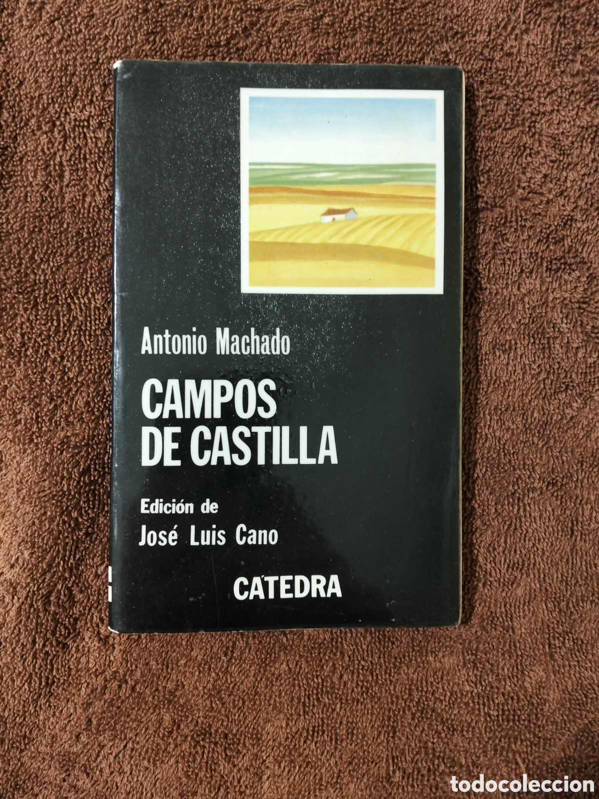 Libros de segunda mano: Antonio Machado. Campos de castilla. C&aacute;tedra. Edici&oacute;n de Jos&eacute; luis cano. Isbn8437500162
