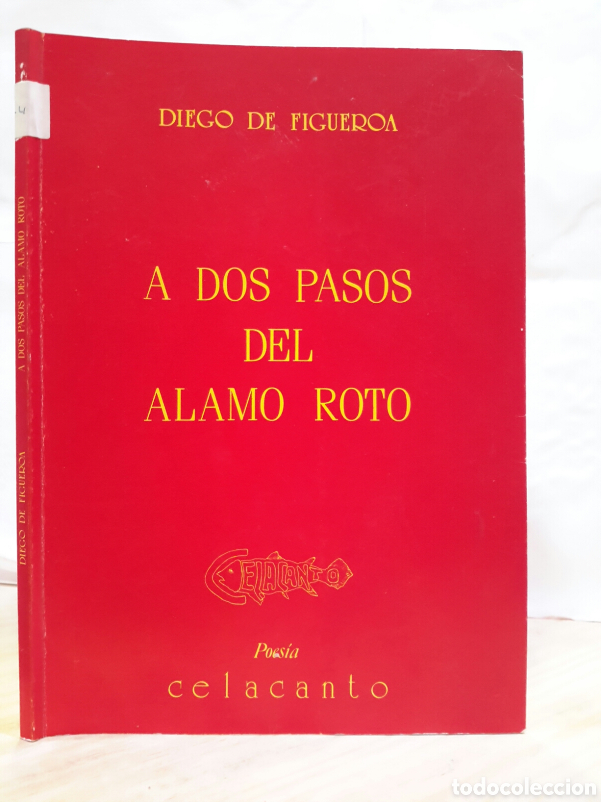 Libros de segunda mano: Diego De Figueroa. A Dos Pasos Del Alamo Roto.