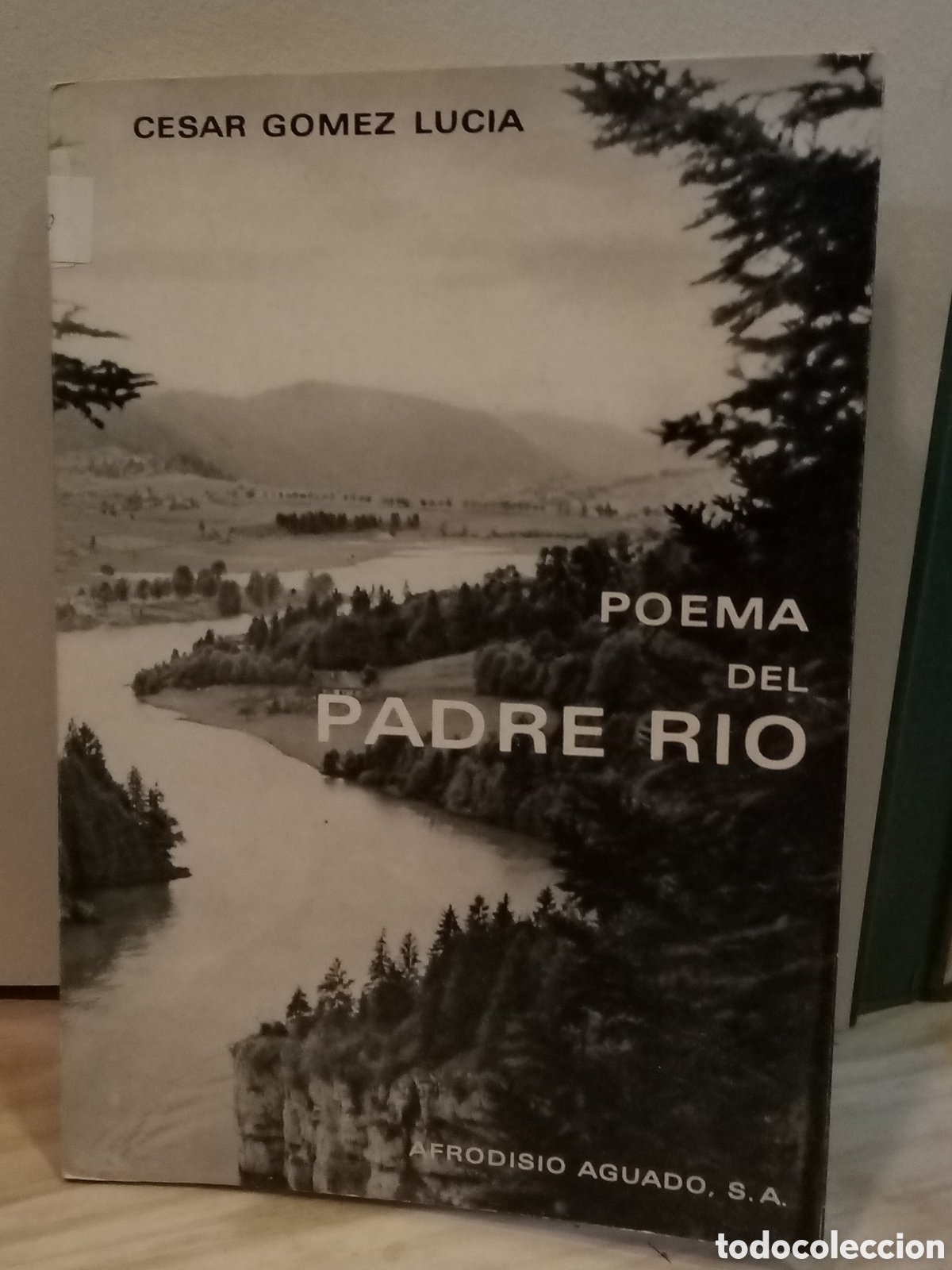 Libros de segunda mano: Cesar G&oacute;mez Lucia. Poema del Padre Rio