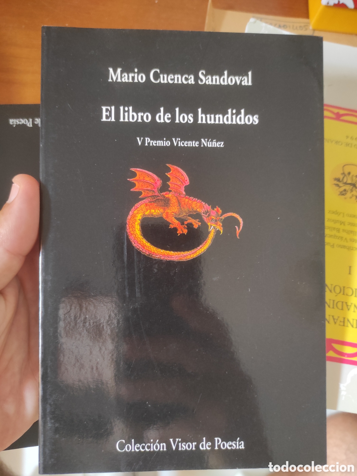 Libros de segunda mano: LIBRO DE LOS HUNDIDOS - Visor 622. V PREMIO VICENTE NU&Ntilde;EZ. CUENCA SANDOVAL, MARIO