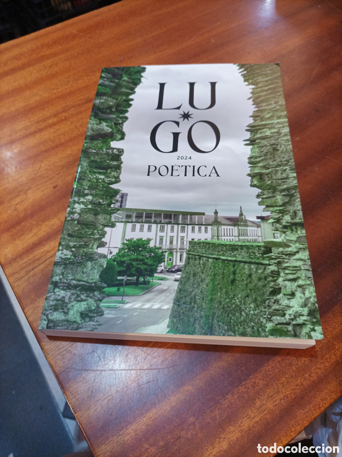 Libros de segunda mano: LUGO PO&Eacute;TICA 2024 . VOLUMEN I.