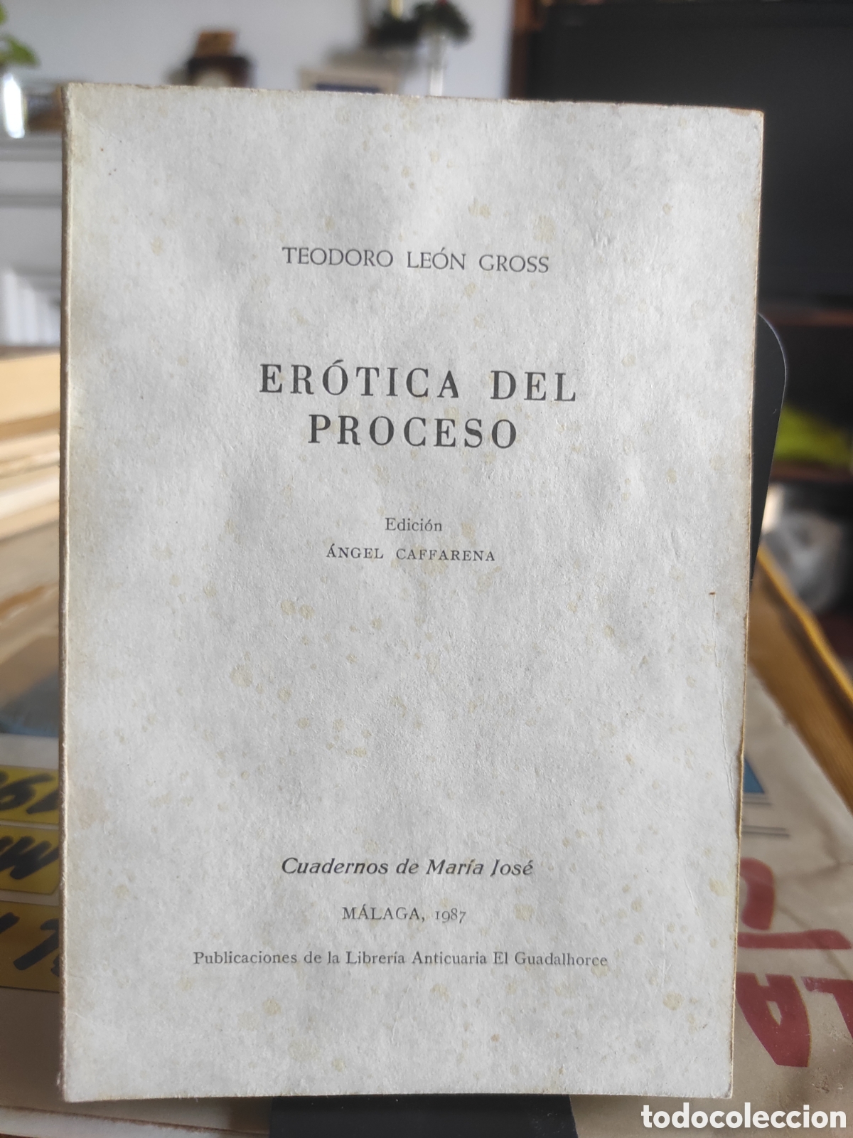 Libros de segunda mano: Er&oacute;tica del Proceso. Teodoro Le&oacute;n Gross. 1987