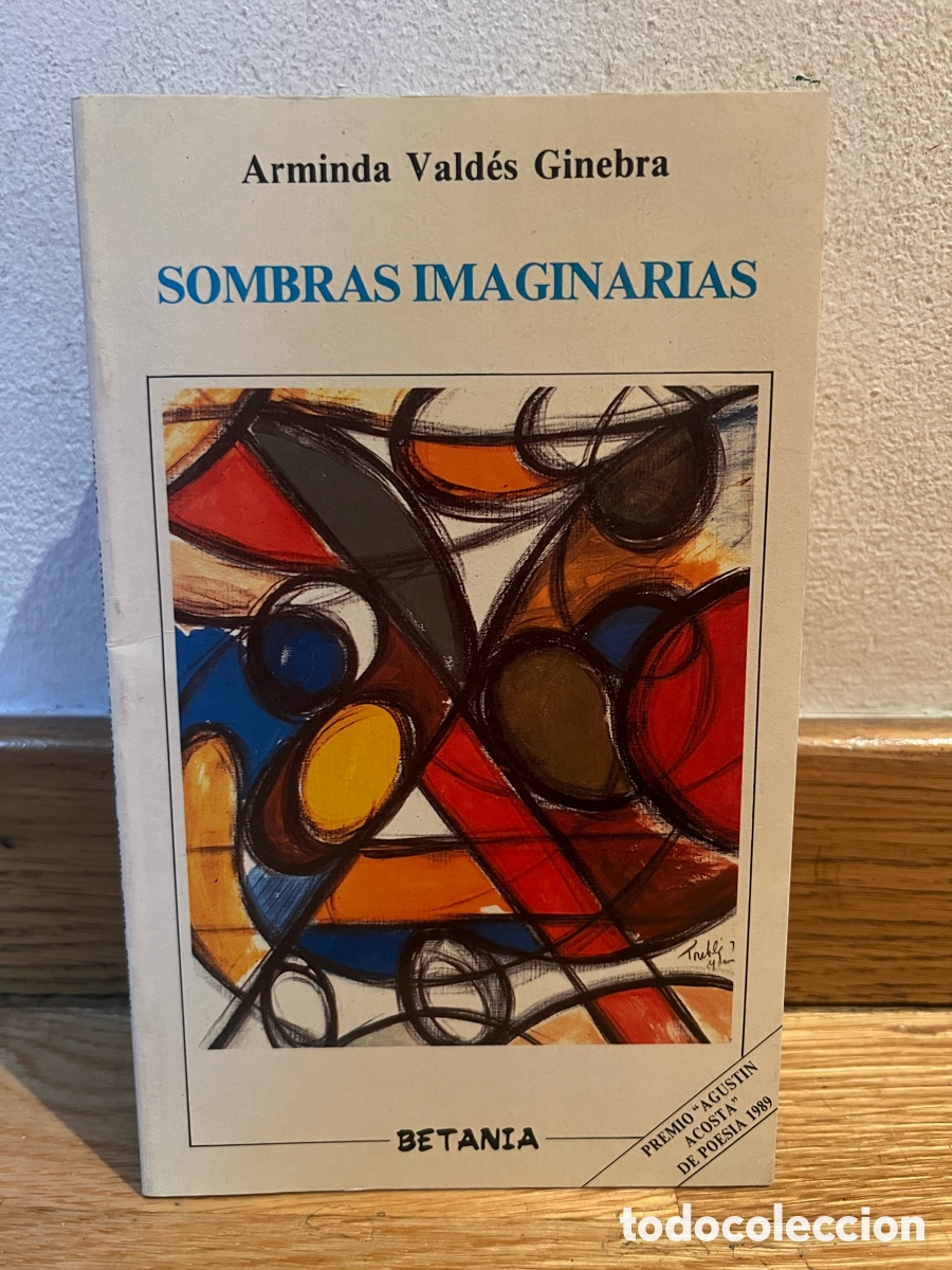 Libros de segunda mano: Arminda Vald&eacute;s Ginebra SOMBRAS IMAGINARIAS