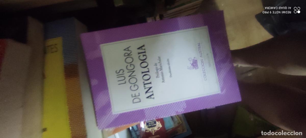 Libros de segunda mano: Gongora. Antolog&iacute;a. Austral
