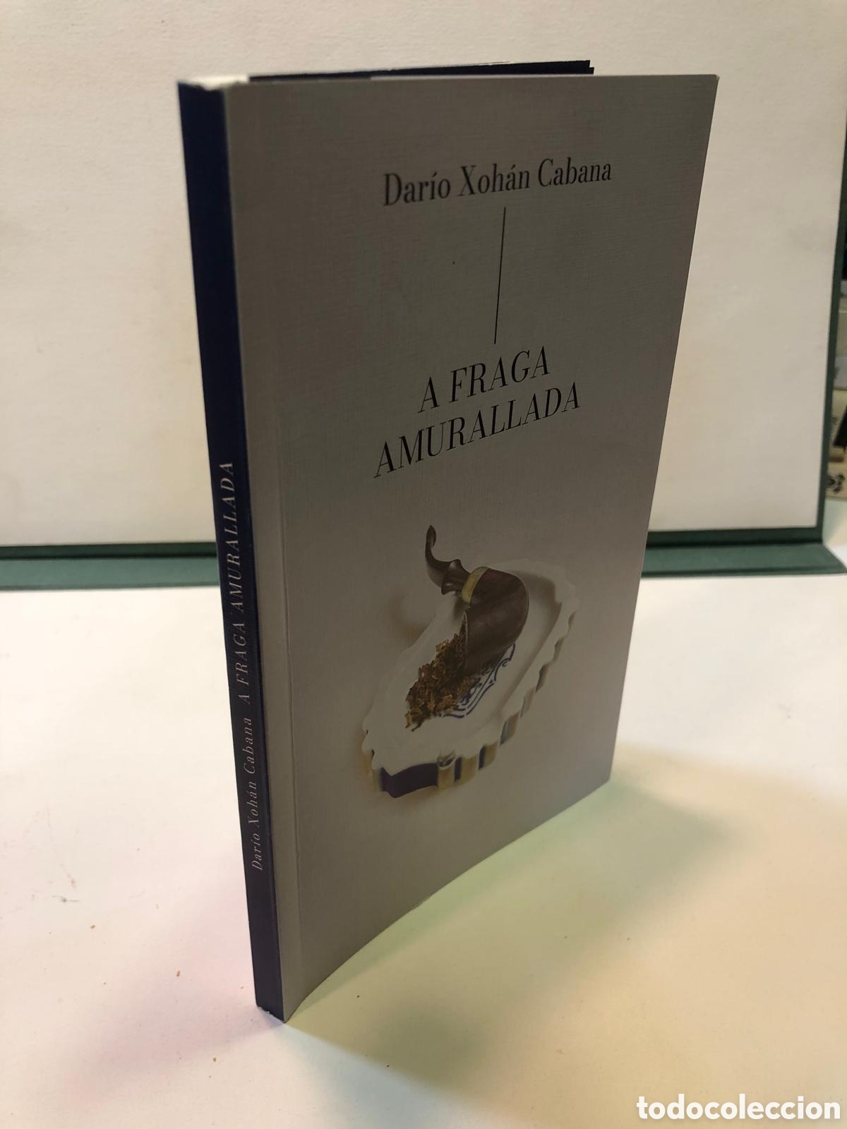 Libros de segunda mano: A fraga amurallada - Dar&iacute;o Xoh&aacute;n Cabana