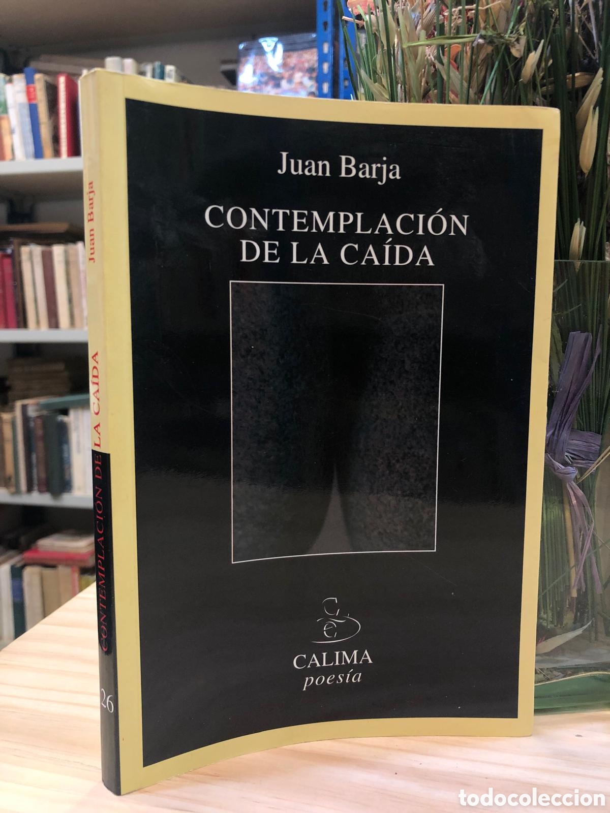 Livres d'occasion: Contemplaci&oacute;n de la ca&iacute;da - Juan Barja