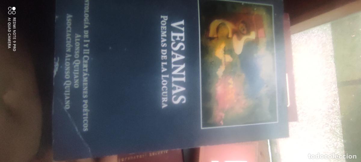 Libros de segunda mano: VESANIAS POEMAS DE LA LOCURA - VVAA