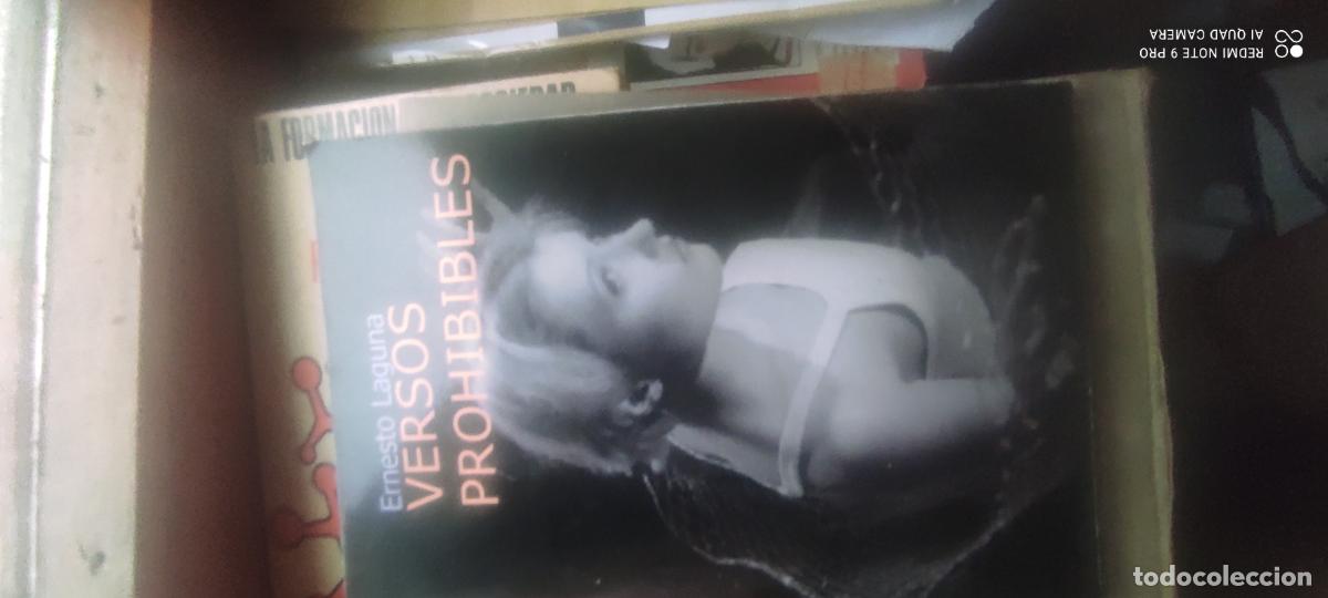 Libros de segunda mano: ernesto laguna versos prohibibles