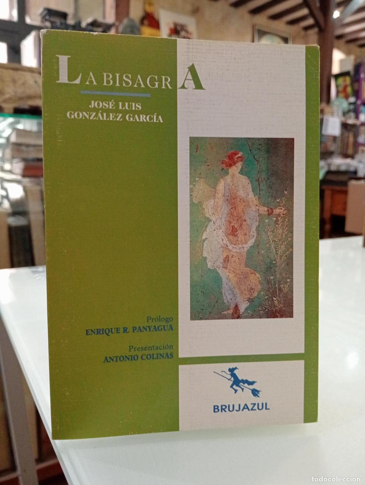Libros de segunda mano: La bisagra - Gonz&aacute;lez Garc&iacute;a, Jos&eacute; Luis.