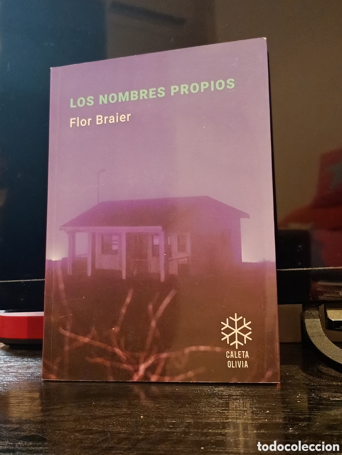 Libros de segunda mano: Flor Braier - Los nombres propios