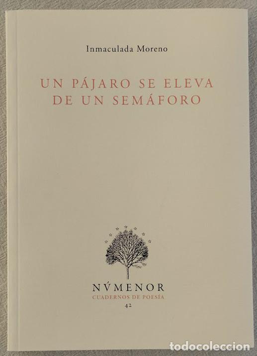 Livres d'occasion: Un p&aacute;jaro se eleva de un sem&aacute;foro. - MORENO, Inmaculada.-