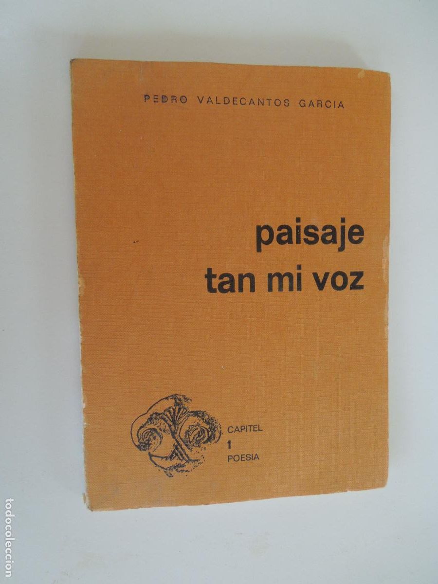 Libros de segunda mano: PAISAJE TAN DE MI VOZ - PEDRO VALDECANTOS GARCIA - 1975- IMPRENTA LA CA&Ntilde;AILLA