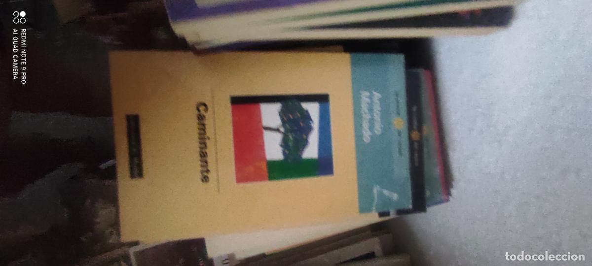 Libros de segunda mano: Antonio Machado. Caminante