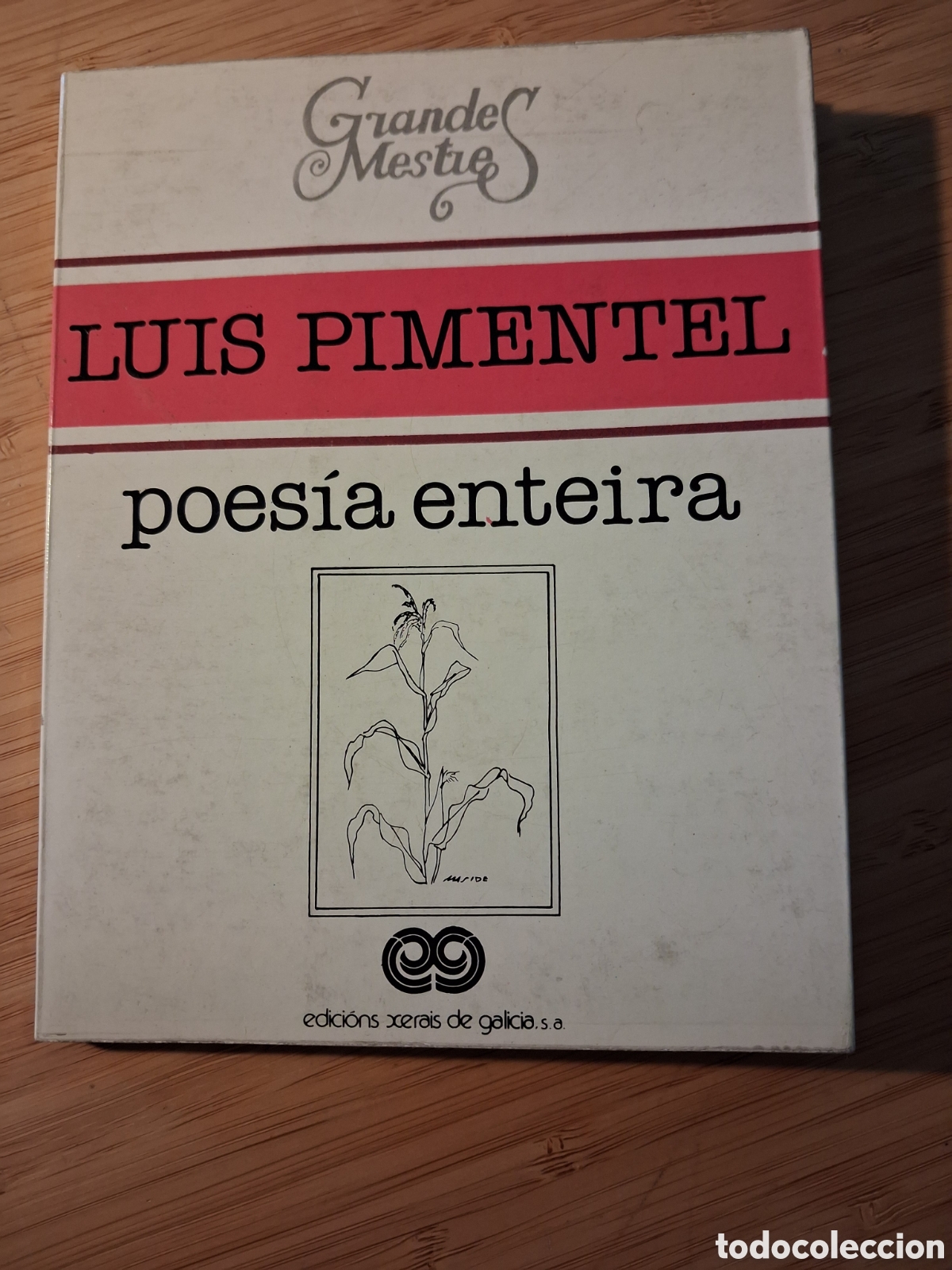 Libros de segunda mano: (gallego) Poes&iacute;a enteira - Lu&iacute;s Pimentel (Xerais 1981)