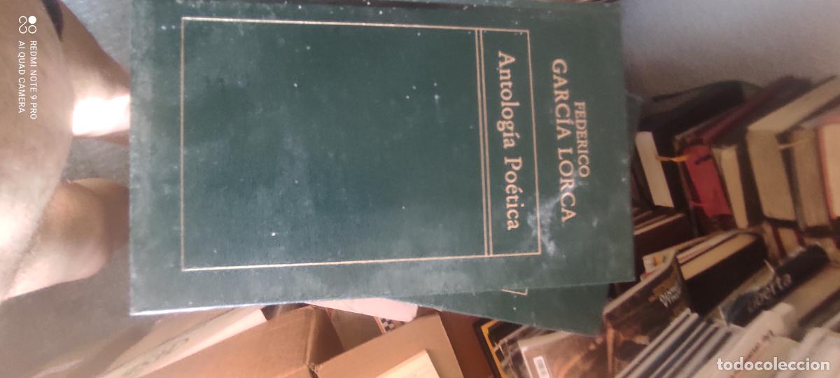 Libros de segunda mano: Lorca. Antolog&iacute;a po&eacute;tica. (Historia de la Literatura Espa&ntilde;ola). - Orbis