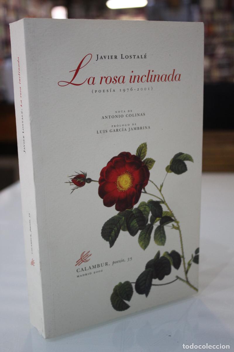 Gebrauchte B&uuml;cher: La rosa inclinada. (Poes&iacute;a 1976-2001) - Lostal&eacute;, Javier