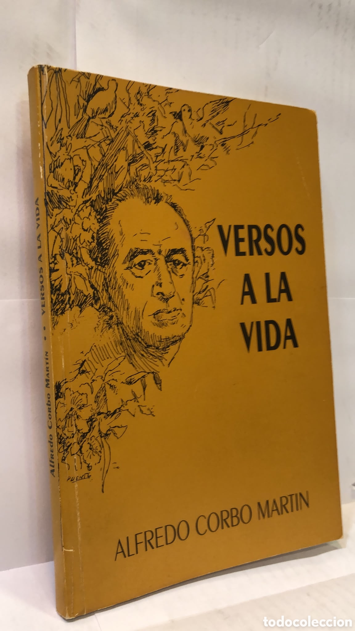 Gebrauchte B&uuml;cher: Versos a la vida - Alfredo Corbo Mart&iacute;n