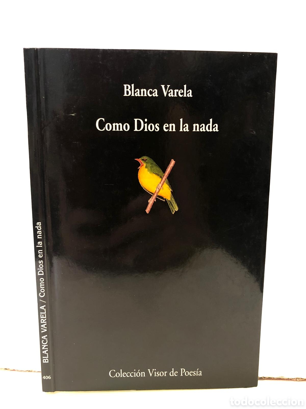 Gebrauchte B&uuml;cher: Como Dios en la nada - Blanca Varela