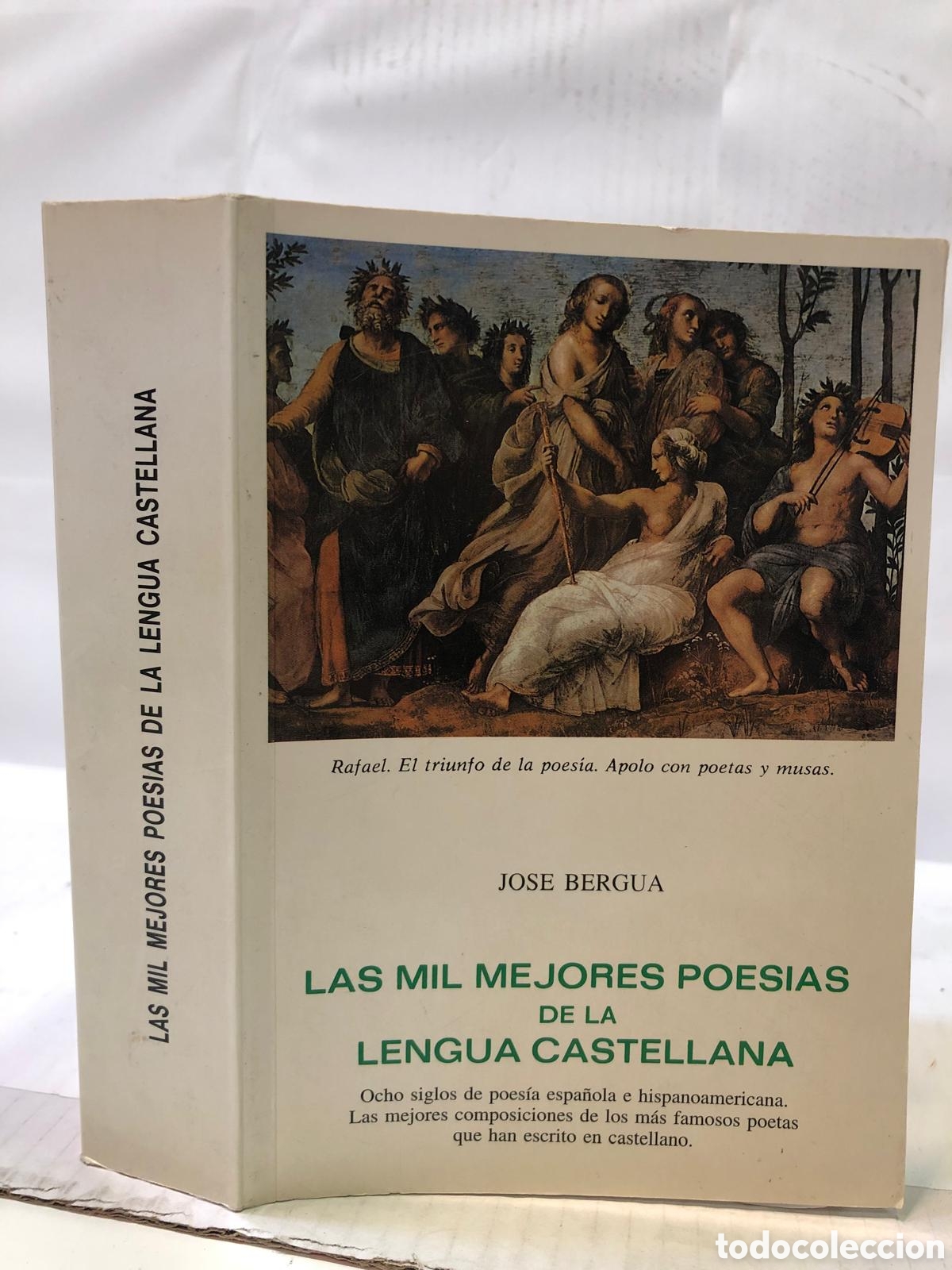 Gebrauchte B&uuml;cher: Las mil mejores poes&iacute;as de la lengua castellana - Jos&eacute; Bergua