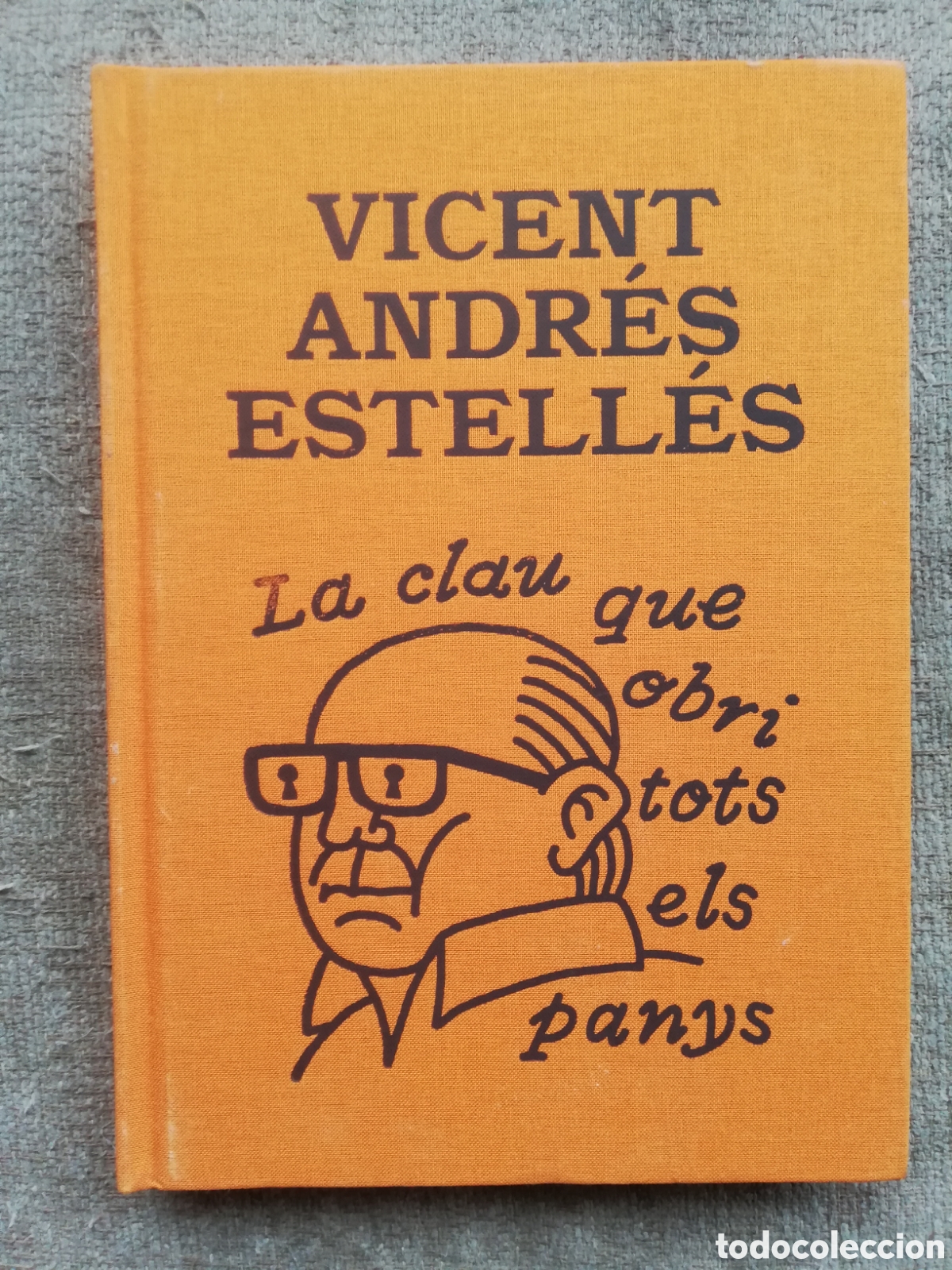 Livres d'occasion: La clu que obri tots els panys, de Vicent Andr&eacute;s Estell&eacute;s