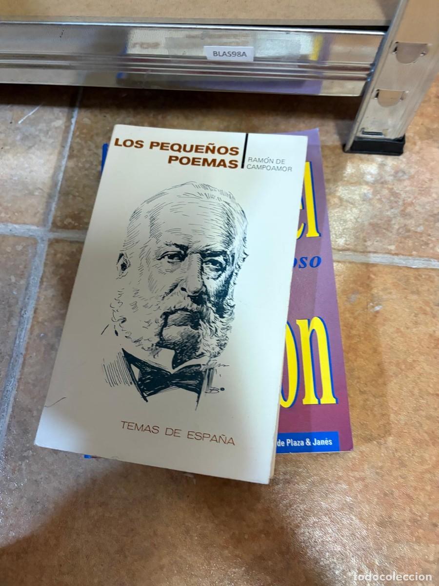 Libros de segunda mano: BLAS98A Ram&oacute;n de Campoamor, Los peque&ntilde;os poemas, Temas de Espa&ntilde;a