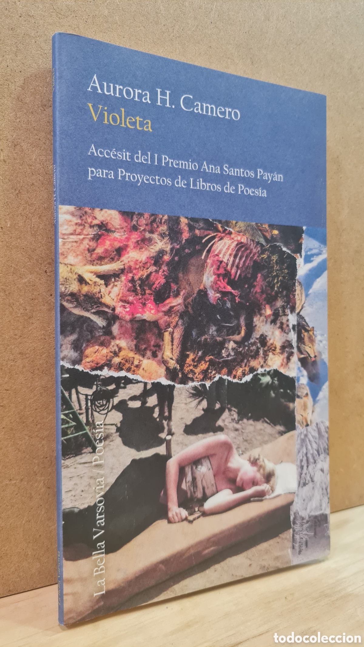 Second hand books: Violeta - Aurora H. Camero