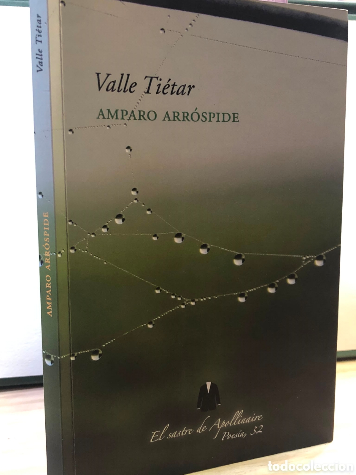 Gebrauchte B&uuml;cher: Valle Ti&eacute;tar - Amparo Arr&oacute;spide