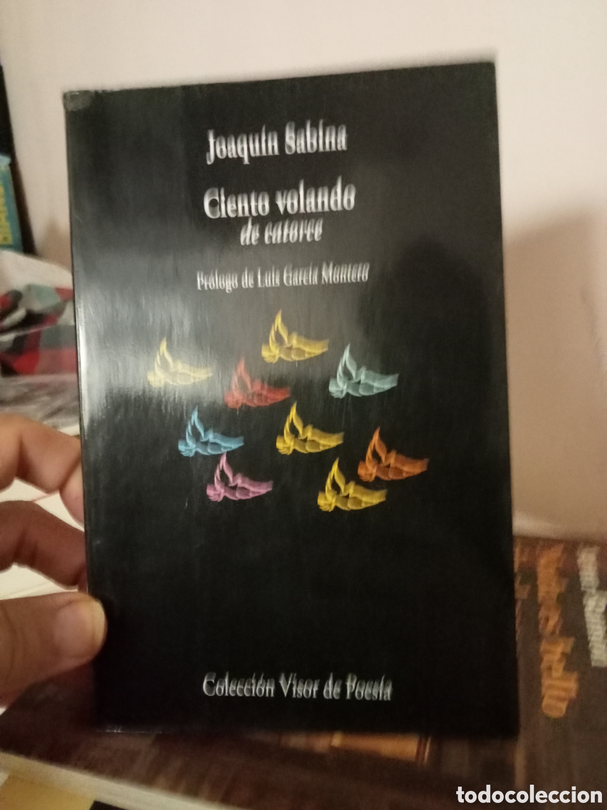 Libros de segunda mano: Joaqu&iacute;n Sabina Ciento volando