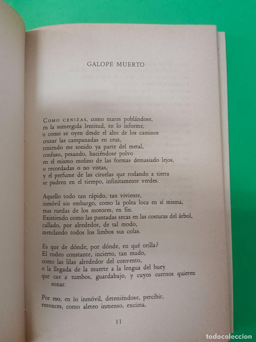 Libros de segunda mano: RESIDENCIA EN LA TIERRA PABLO NERUDA - Foto 5