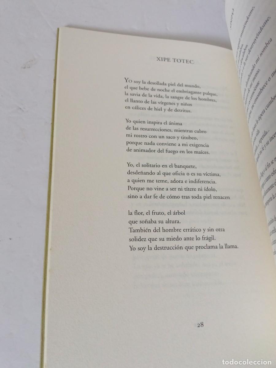 Libros de segunda mano: Templos vac&iacute;os Ignacio Caparr&oacute;s - Foto 7