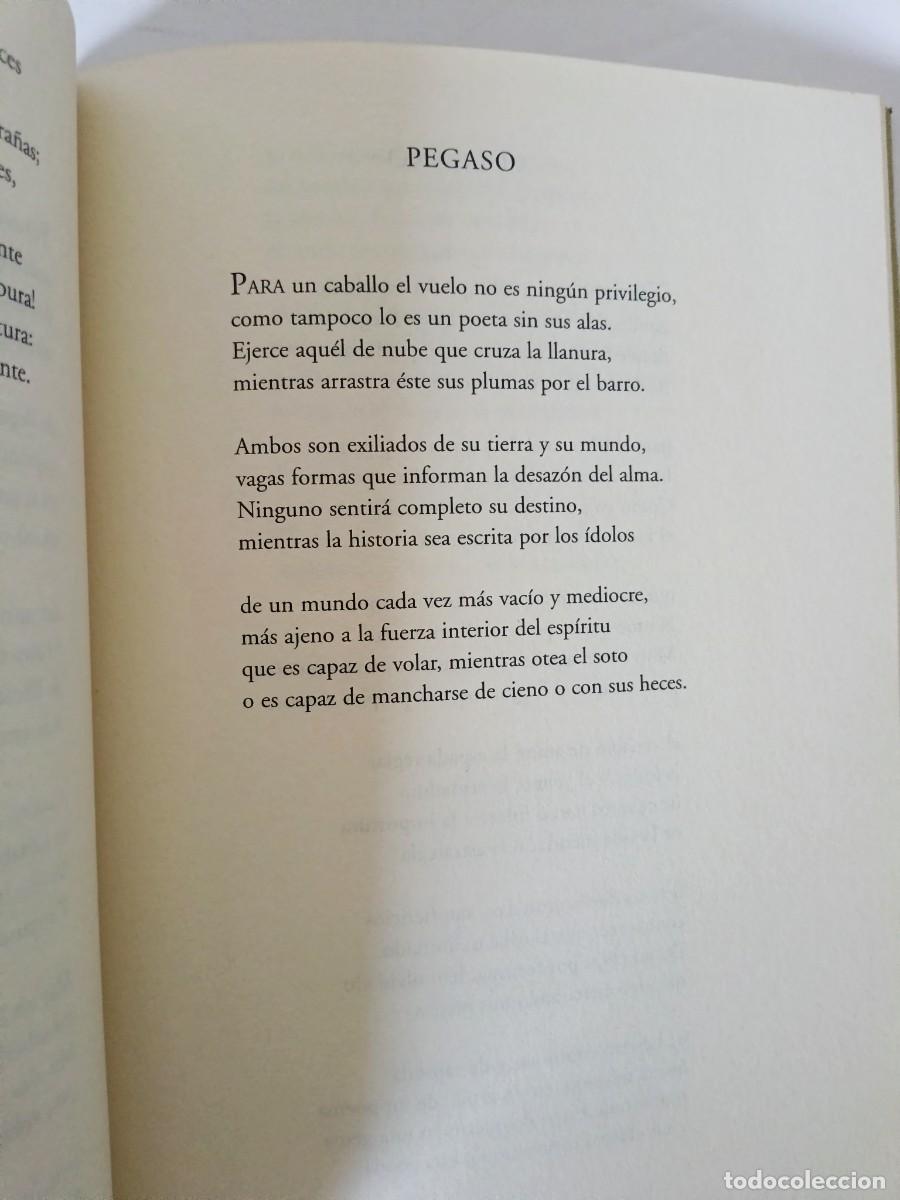Libros de segunda mano: Templos vac&iacute;os Ignacio Caparr&oacute;s - Foto 9