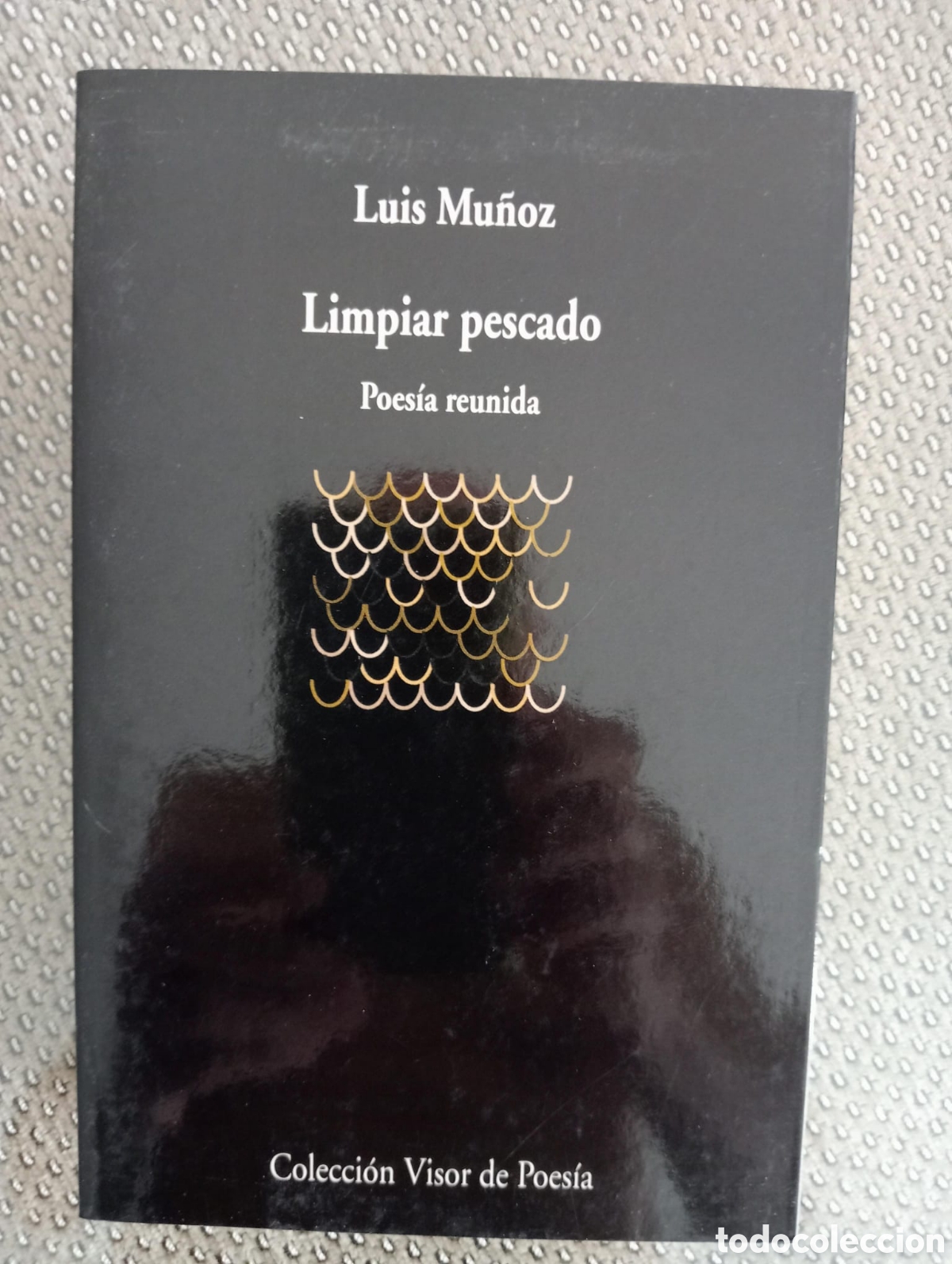 Libros de segunda mano: Limpiar pescado / Luis Mu&ntilde;oz . Col Visor de poes&iacute;a, 579. Visor, 2000