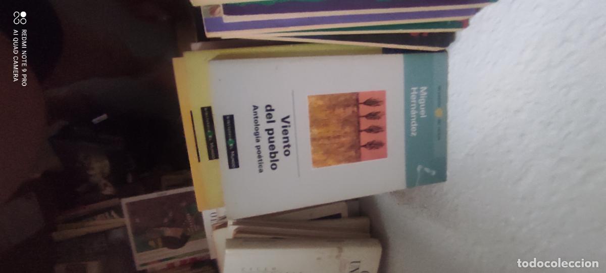 Livres d'occasion: viento del pueblo. Miguel Hern&aacute;ndez. Las poes&iacute;as del verano