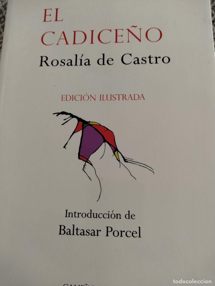 Libros de segunda mano: EL CADICE&Ntilde;O - ROSAL&Iacute;A DE CASTRO