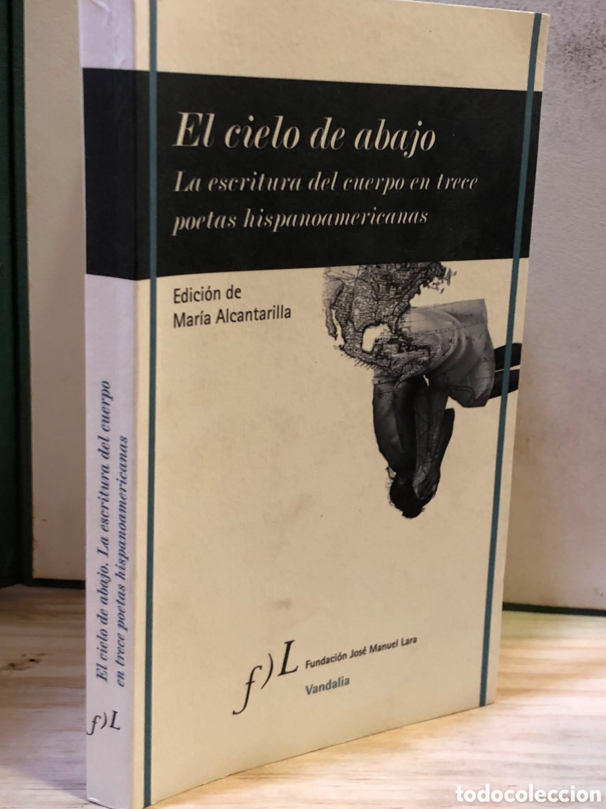 Libros de segunda mano: El cielo de abajo. La escritura del cuerpo en trece poetas hispanoamericanos - M. Alcantarilla (Ed.)