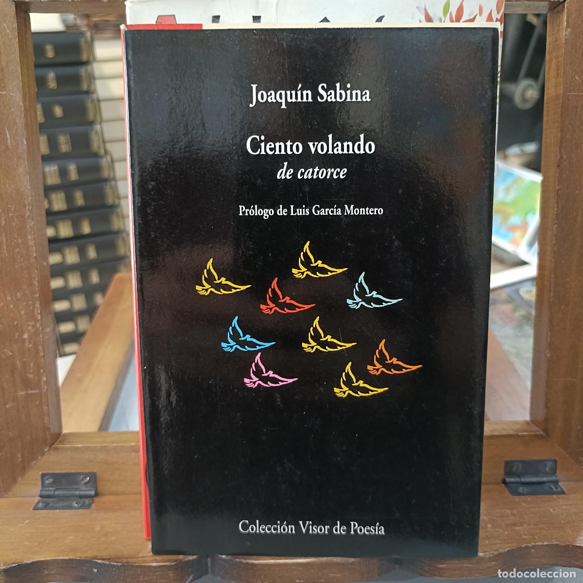 Libros de segunda mano: Ciento Volando de Catorce - Joaqu&iacute;n Sabina - Colecci&oacute;n Visor de Poes&iacute;a 2002