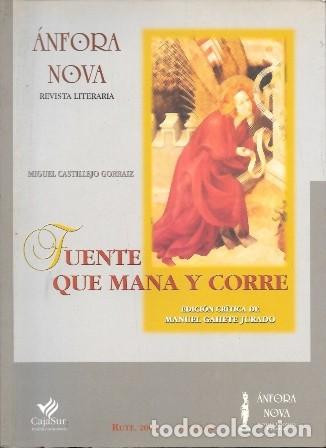 Libros de segunda mano: ANFORA NOVA - REVISTA LITERARIA 2002 - N&ordm; 51-52 (FUENTE QUE MANA Y CORRE) - A-REVLIT-0053