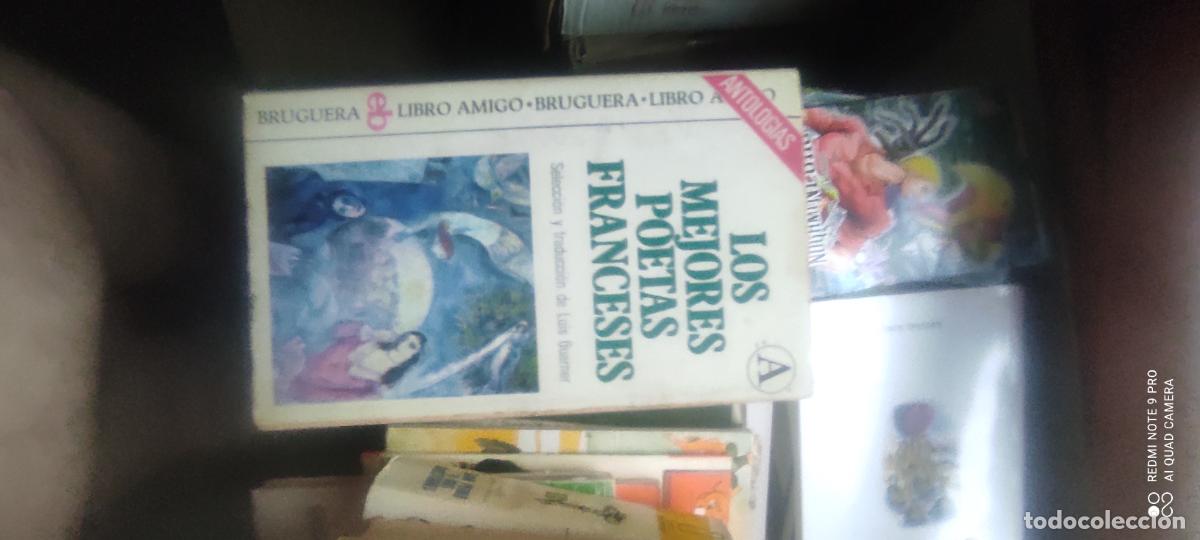 Libros de segunda mano: LOS MEJORES POETAS FRANCESES - Guarner,Luis