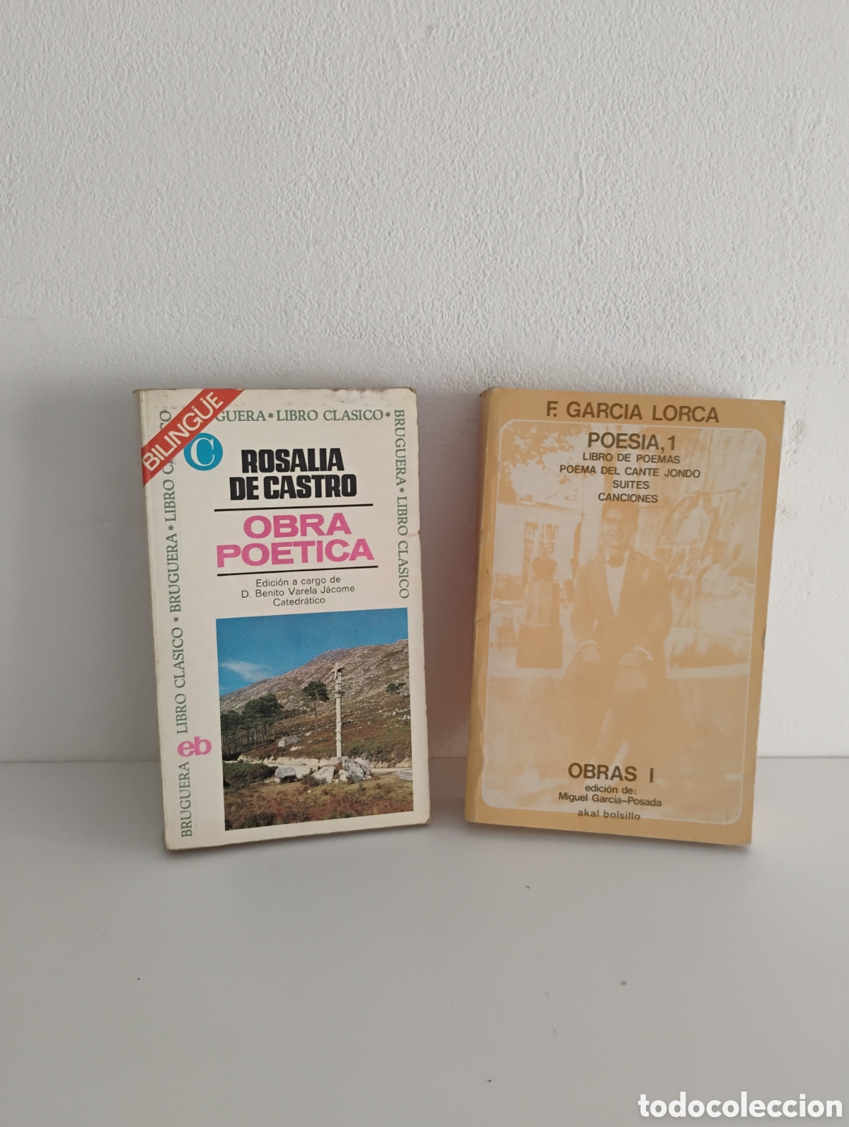 Libros de segunda mano: Libros de poes&iacute;a de Rosal&iacute;a de Castro, Rafael Alberti y Federico Garc&iacute;a Lorca