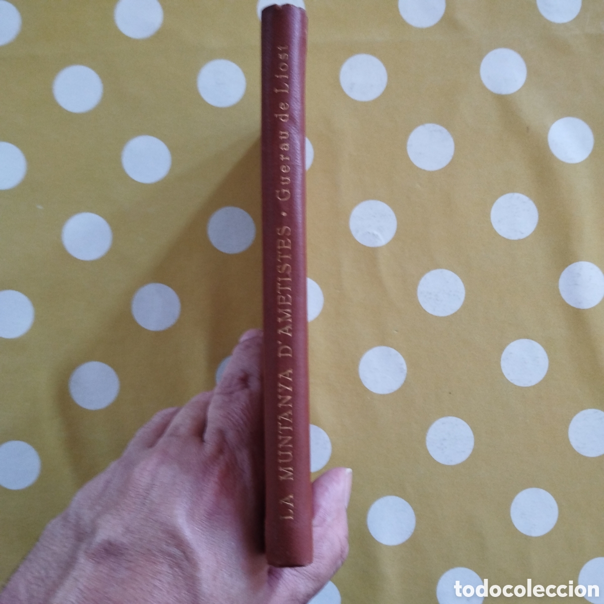 Libros de segunda mano: GUERAU DE LIOST LA MUNTANYA D'AMETISTES 1933 JOSEP CARNER LLUIS GILI